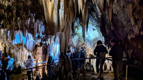 Congreso de Cuevatur - Karranza (Bizkaia)